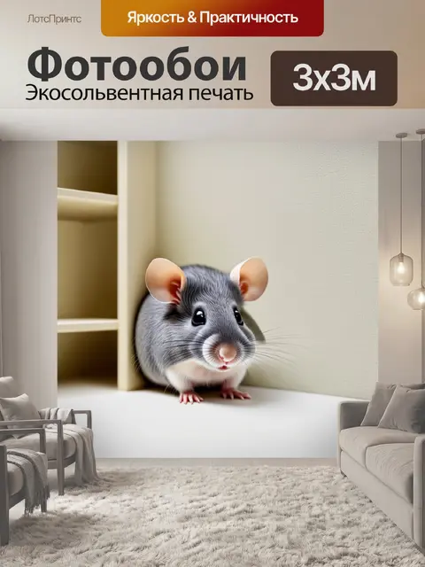 Фотообои жемчужная мышь с серой шерстью