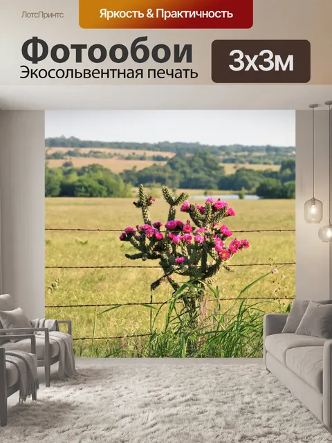 Фотообои Дерево Cholla Кактус и колючая проволока