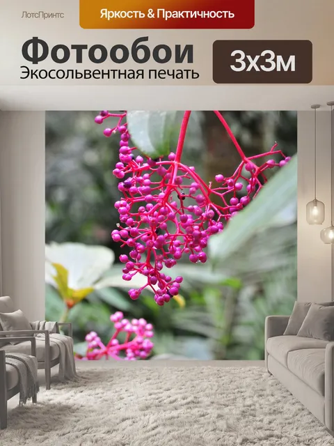 Фотообои Цветок
