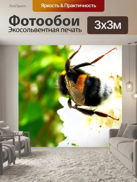 Фотообои Приусадебный шмель