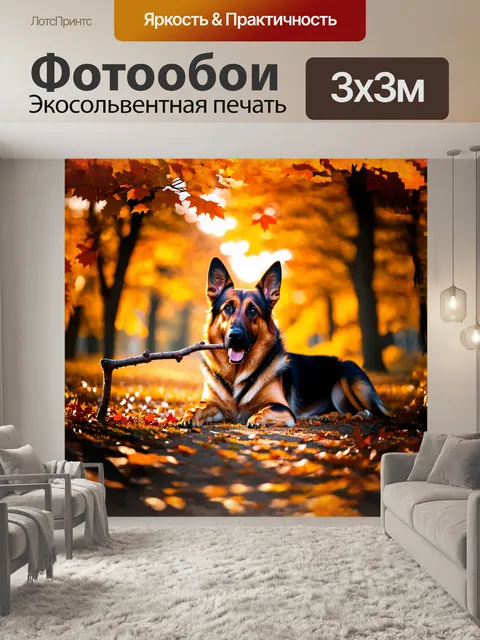 Фотообои немецкая овчарка, лежащая с палкой, окруженная осенним листопадом, снятая в тёплом свете заката с…