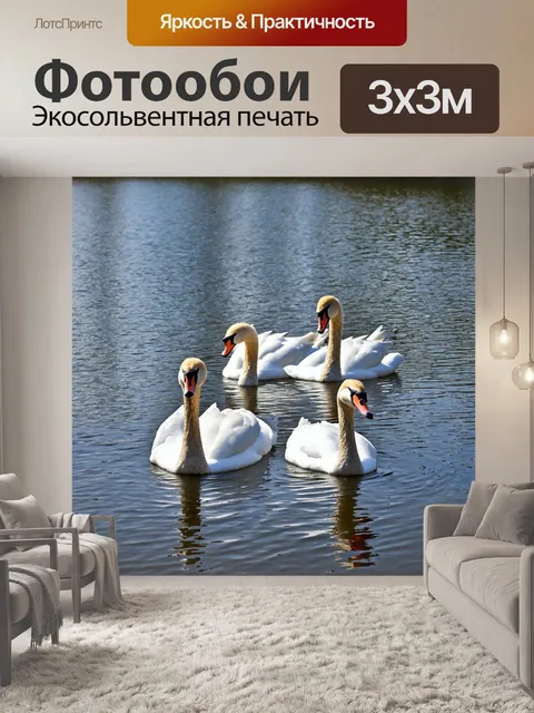 Фотообои озеро с лебедями и утками на поверхности воды