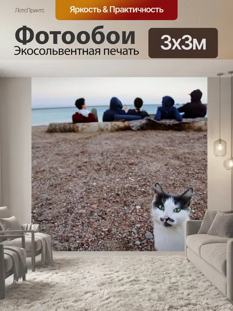 Фотообои Кот