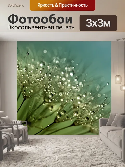 Фотообои Капли дождя на одуванчиках