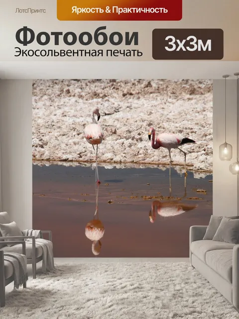 Фотообои Фламинго