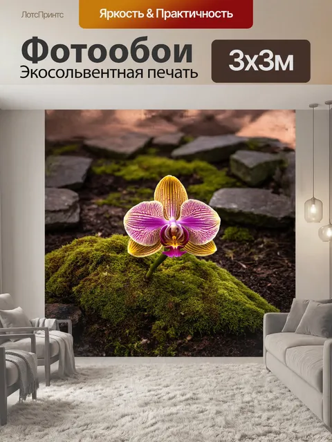 Фотообои орхидея, только что раскрывшая свои великолепные лепестки, расположена среди старинных камней и мха в…
