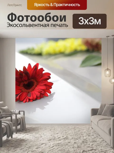 Фотообои Хризантема