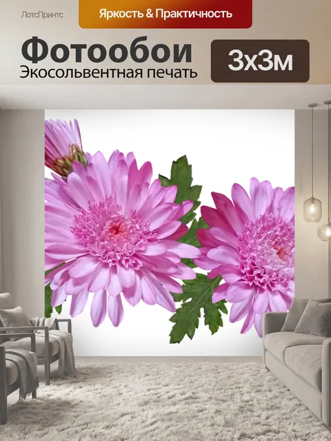 Фотообои Хризантема