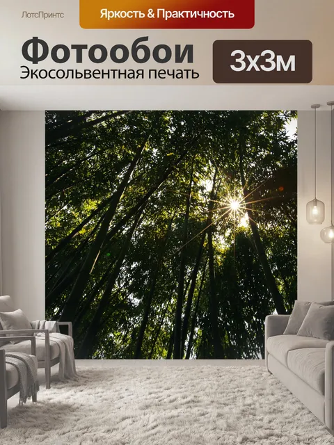 Фотообои Бамбуковый лес
