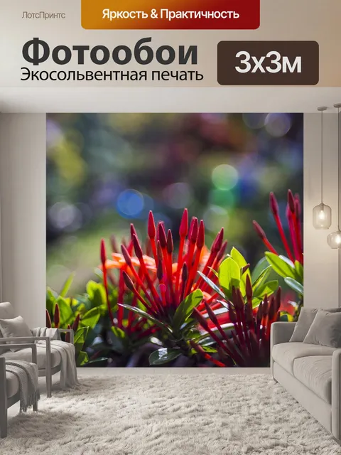 Фотообои Фиолетовый