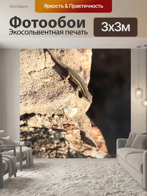 Фотообои настороженная маленькая ящерица на стене