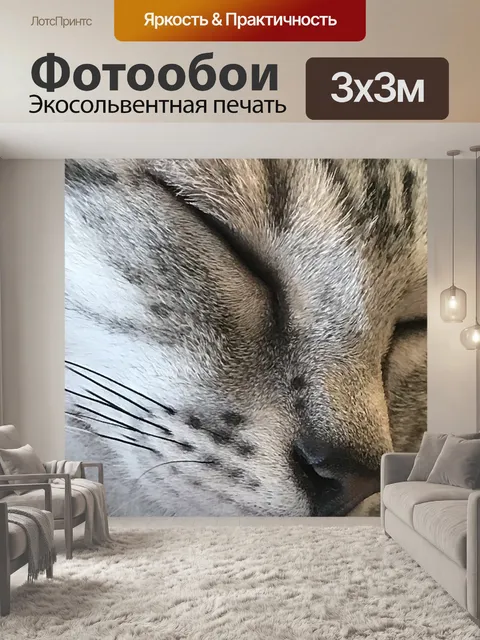 Фотообои Кошки крупным планом