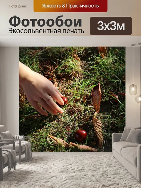 Фотообои Каштаны