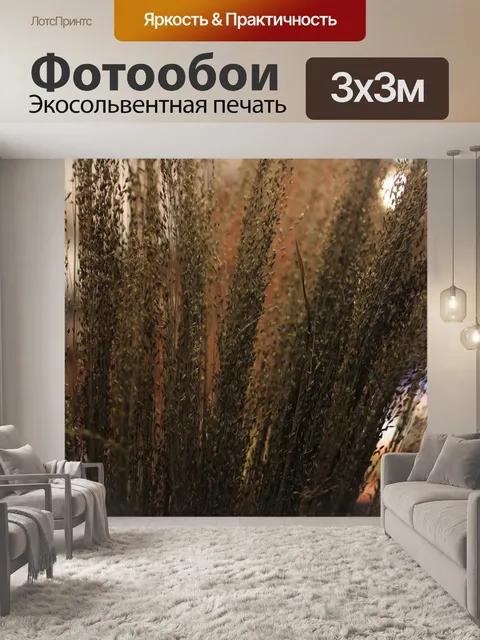 Фотообои Камыши