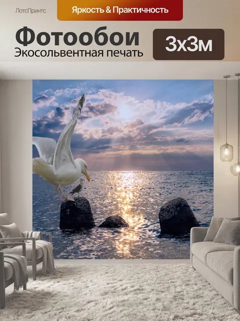 Фотообои Чайка