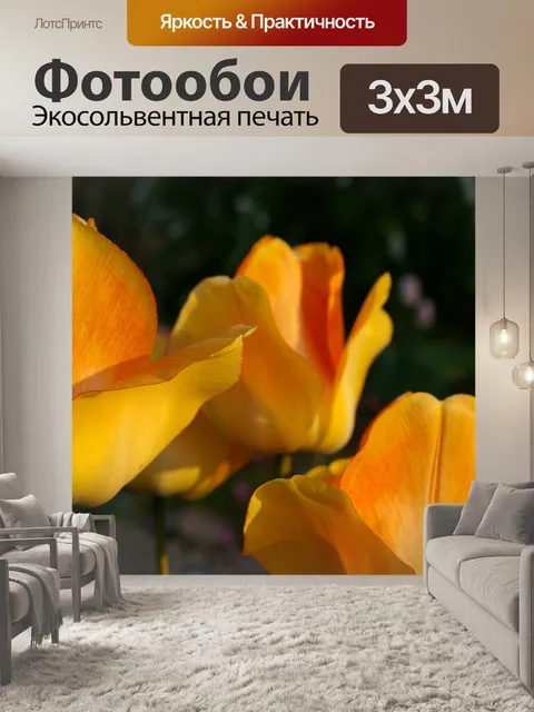 Фотообои Тюльпаны