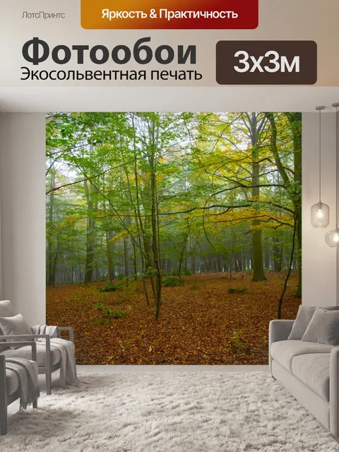 Фотообои Туманный лес