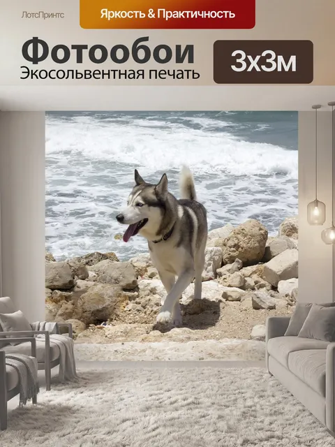 Фотообои Собака