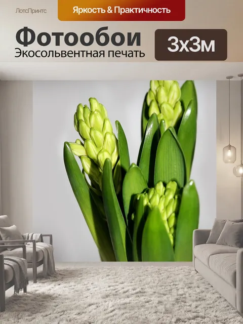 Фотообои Гиацинт