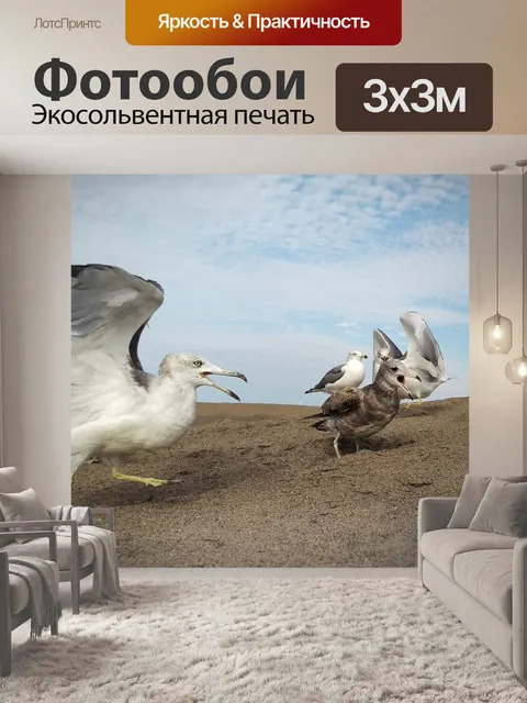 Фотообои Небо