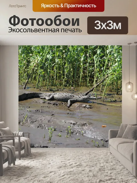 Фотообои Коста-Рика Крокодил