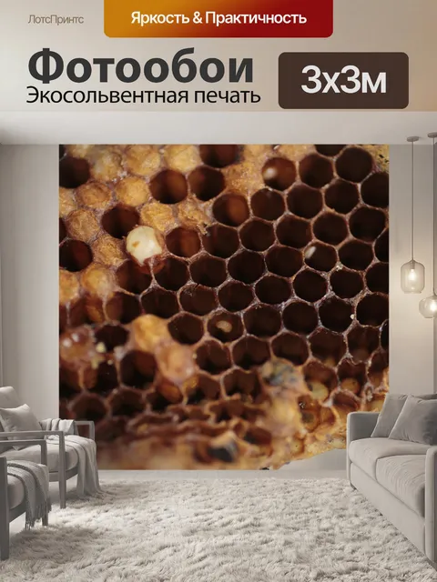 Фотообои Bee