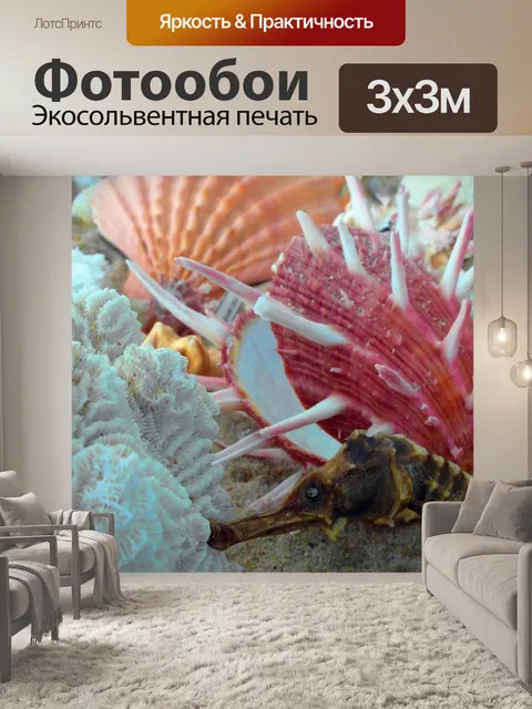 Фотообои Раковины и Морской конек