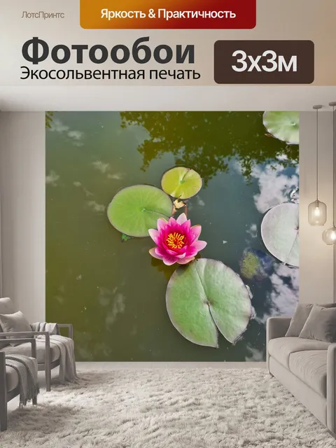 Фотообои Водяная лилия