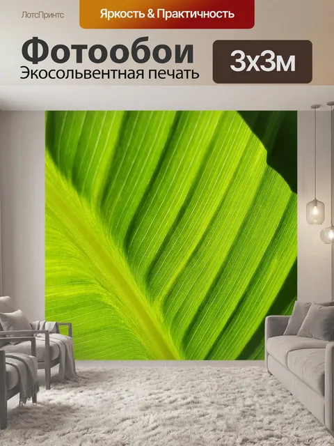 Фотообои Канна