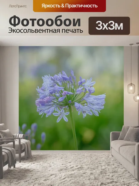 Фотообои Декоративный луковый цветок
