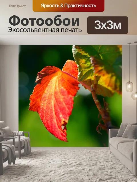 Фотообои Лист