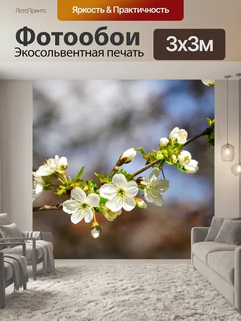 Фотообои Белые цветки