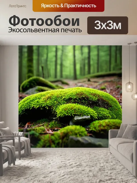 Фотообои градиент спокойного мха и камней в лесу