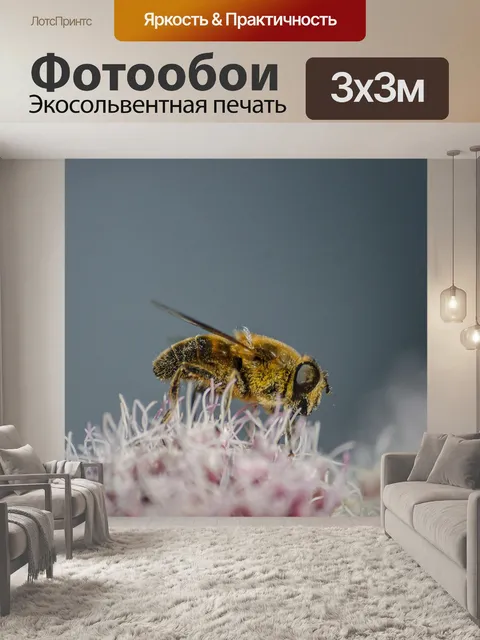 Фотообои Макрос