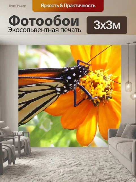 Фотообои Бабочка