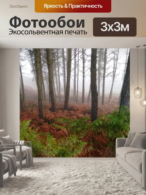 Фотообои Лес