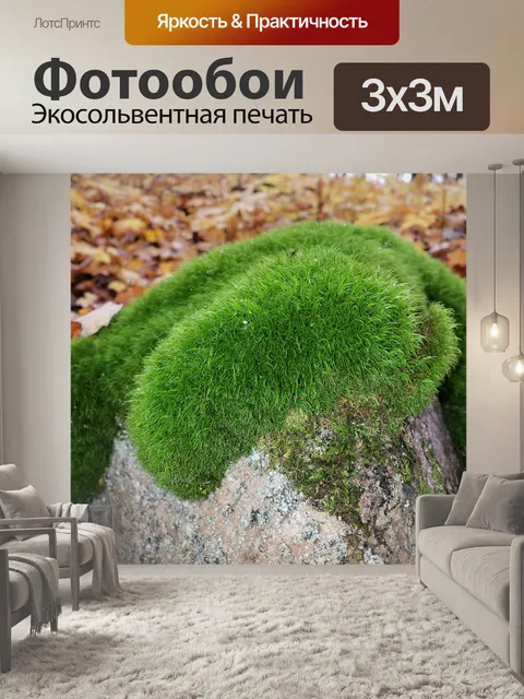 Фотообои Падение деревьев и скала с мхом