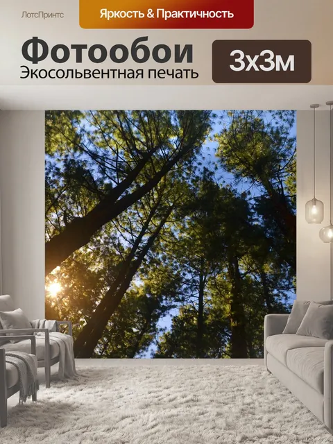 Фотообои Сосна