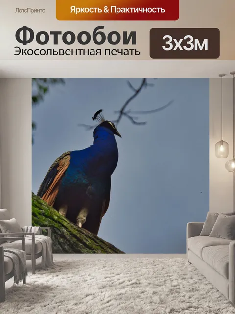 Фотообои Коста-рика