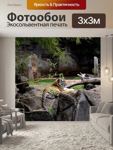 Фотообои Тигр