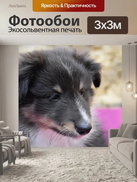 Фотообои Щенок
