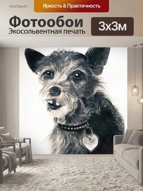 Фотообои Собака