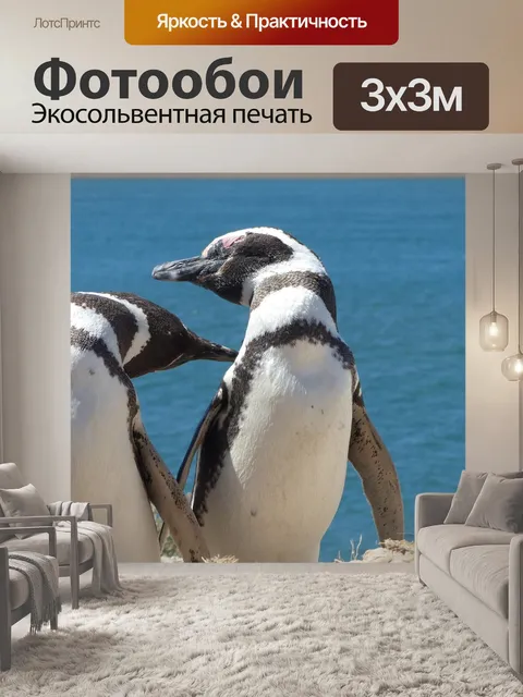 Фотообои Пингвин