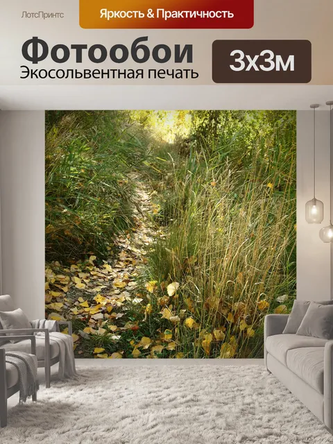 Фотообои Путь