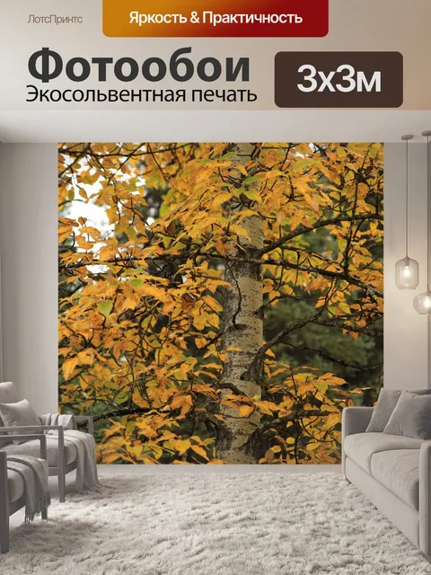 Фотообои Лес