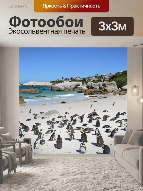 Фотообои Пингвины