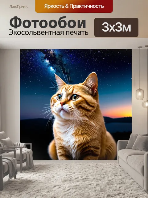 Фотообои кот, рассматривающий ночное небо с кучей звезд
