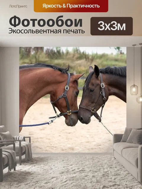 Фотообои Лошади