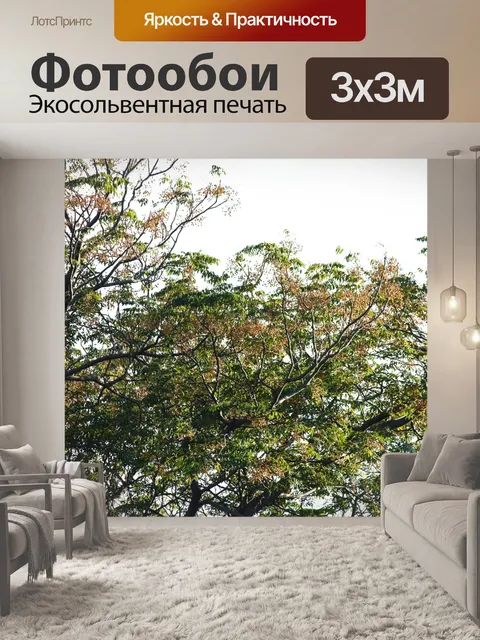 Фотообои дерево сиринги в конце лета