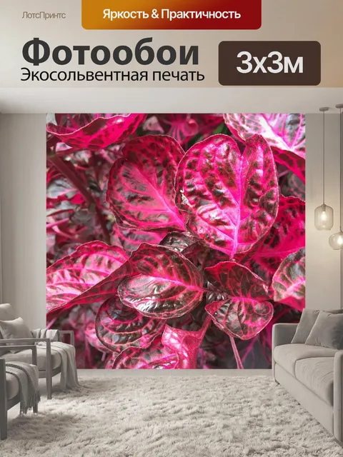 Фотообои Розовый
